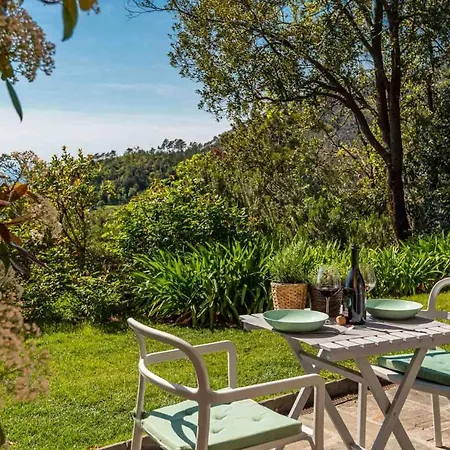 Il Bosco Sul Mare - Salvia, Terre Marine Reggimonti